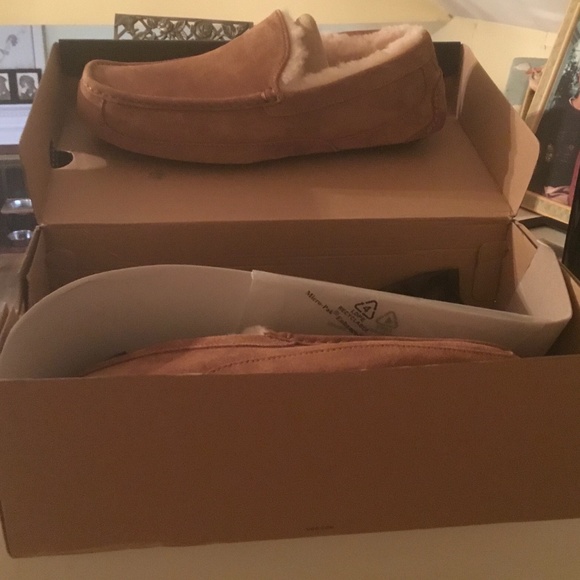 Ugg - Picture 1 of 2